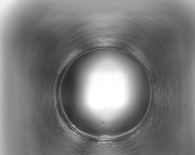 X0000066020482200603101627