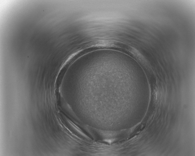 X0000066020484200603101627