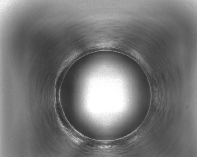 X0000066020486200603101626