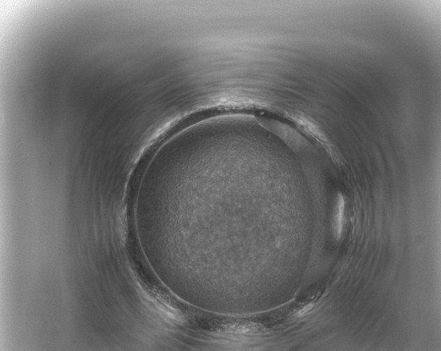 X0000066020488200603101626