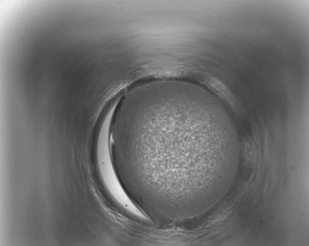 X0000066020491200603101626