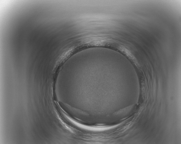 X0000066020493200603101626