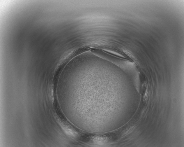 X0000066020494200603101626