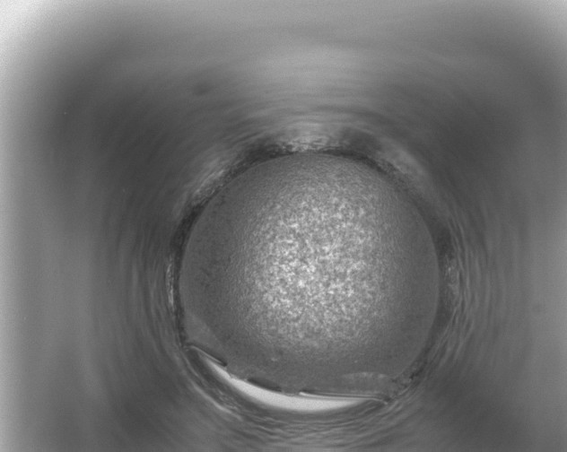 X0000066020499200603101626