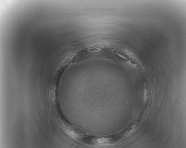 X0000066020501200603101626