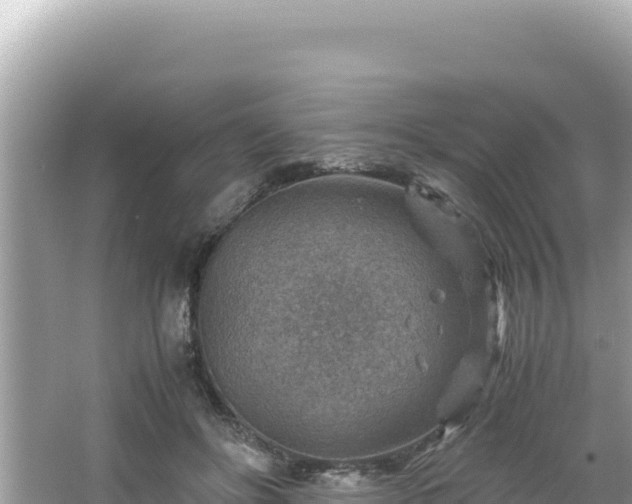 X0000066020502200603101626