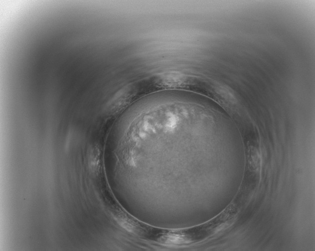 X0000066020507200603101626