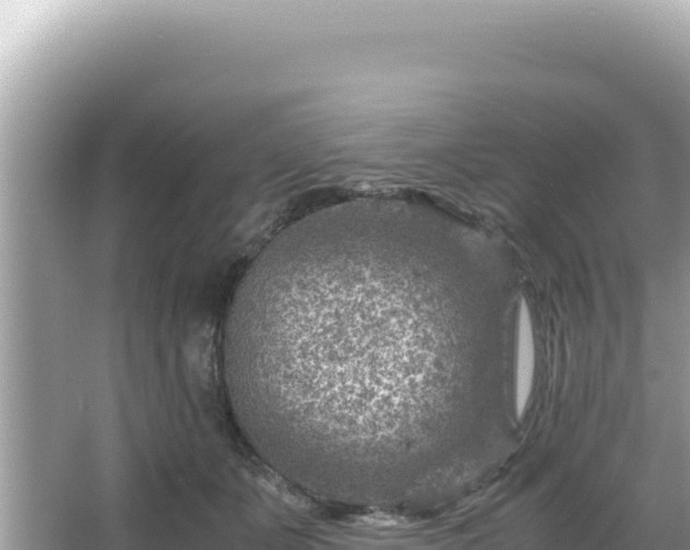 X0000066020511200603101626