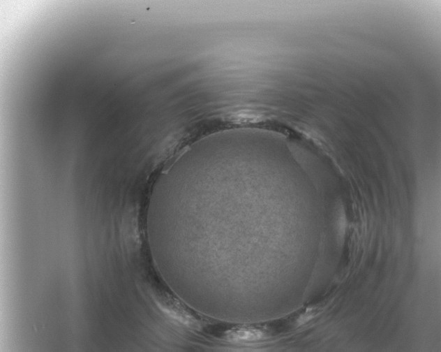 X0000066020512200603101626