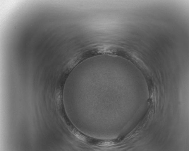 X0000066020513200603101626