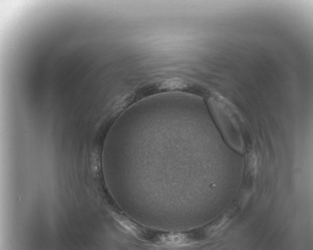 X0000066020517200603101626