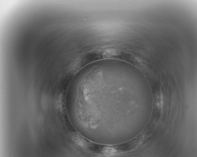 X0000066020519200603101626