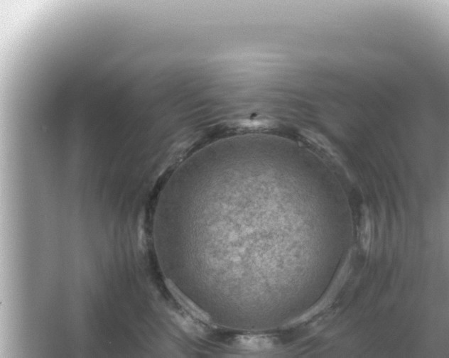 X0000066020520200603101626