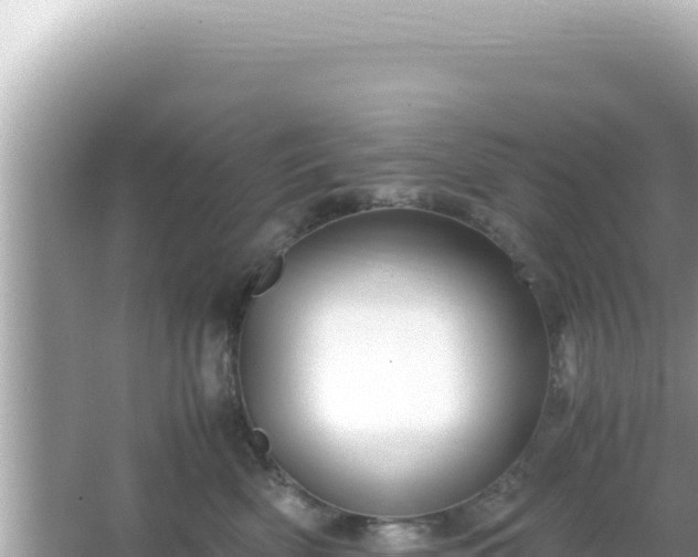 X0000066020522200603101626