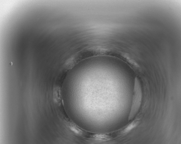 X0000066020528200603101626