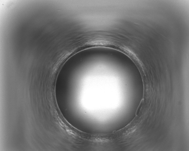 X0000066020529200603101625
