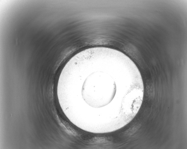 X0000066020534200603101625