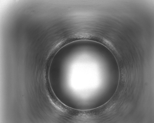 X0000066020538200603101625