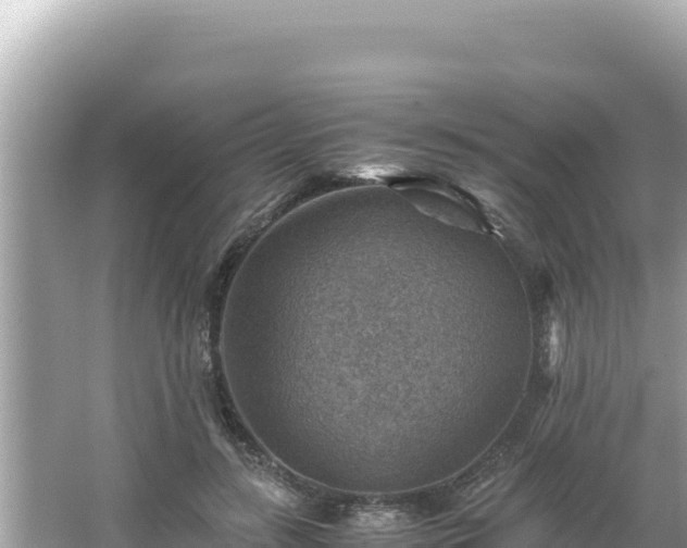 X0000066020547200603101625