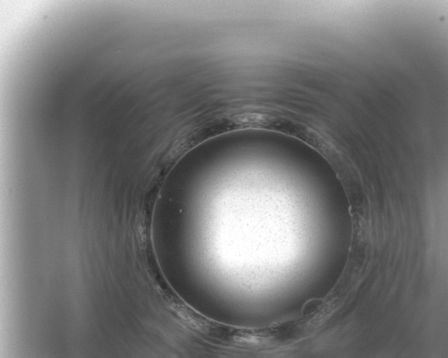 X0000066020561200603101626