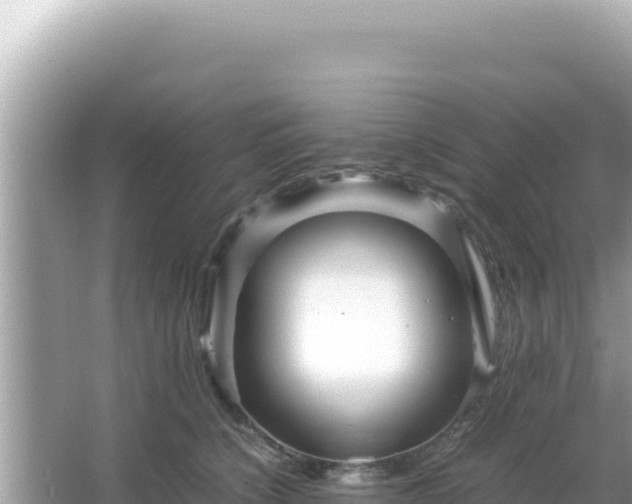 X0000066020564200603101626