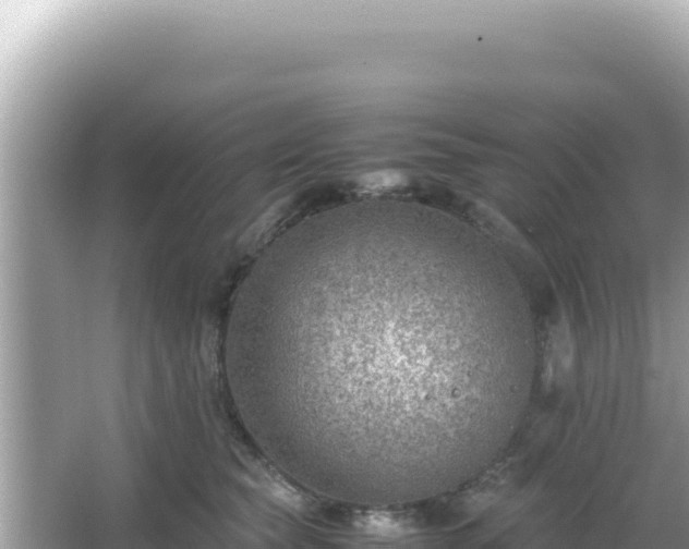 X0000066020565200603101626