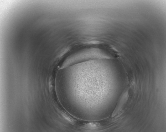 X0000066020566200603101626