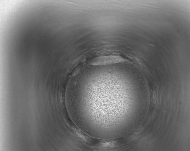 X0000066020569200603101626