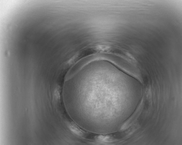 X0000066020570200603101626