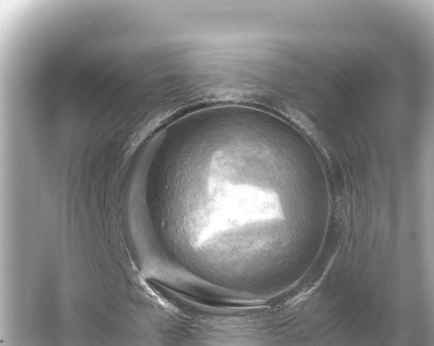 X0000066020577200603101625