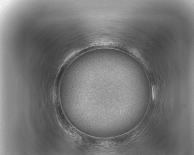 X0000066020579200603101625