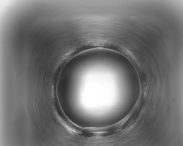 X0000066020589200603101625