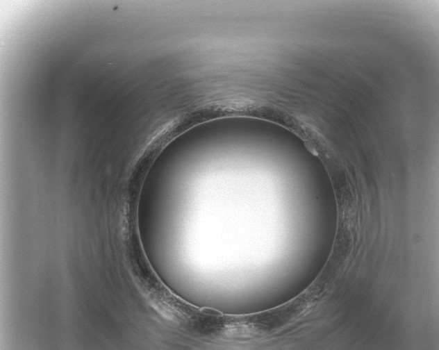 X0000066020591200603101625