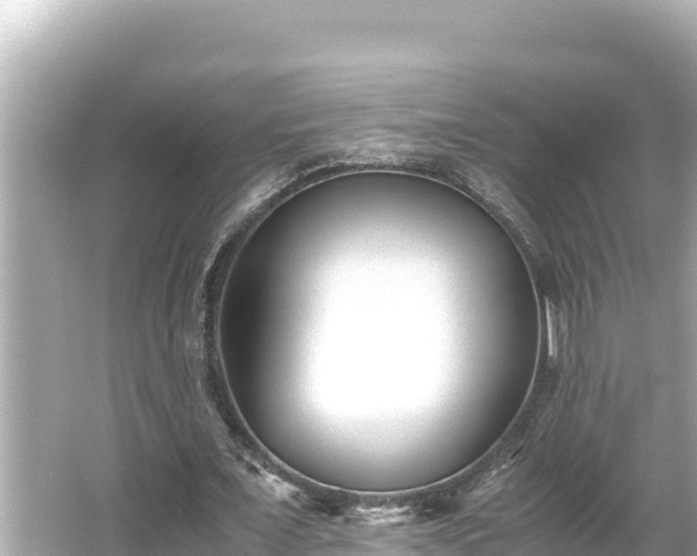 X0000066020675200603101623