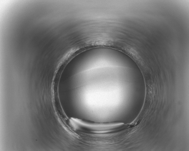 X0000066020678200603101623