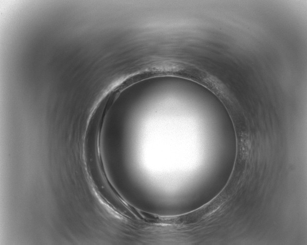 X0000066020726200603101622
