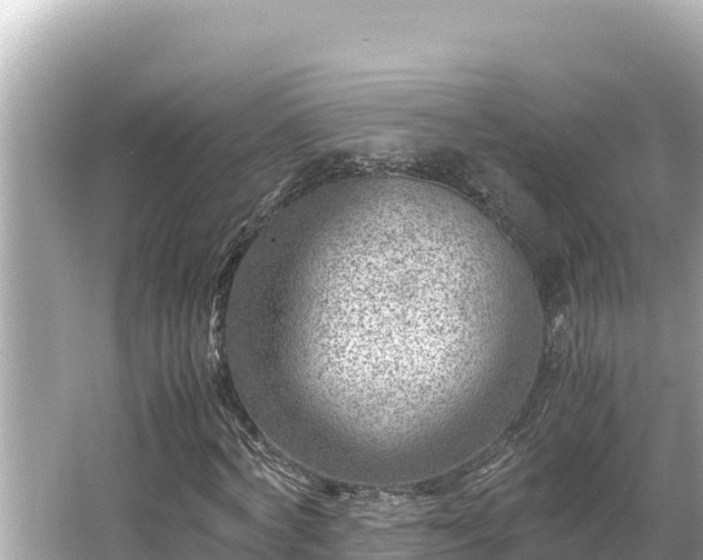 X0000066020772200603101622