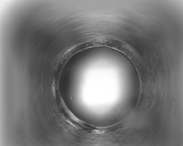 X0000066020773200603101622