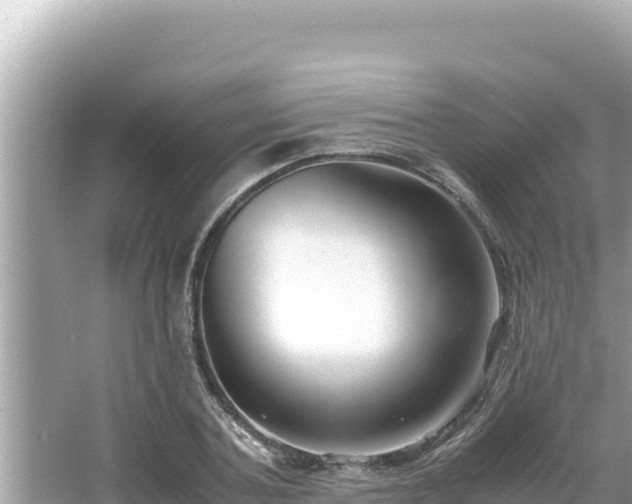 X0000066020787200603101621