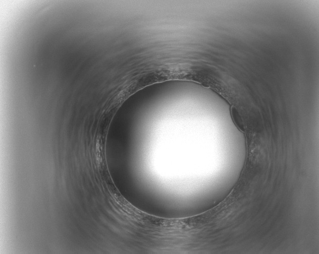 X0000066020866200603101620