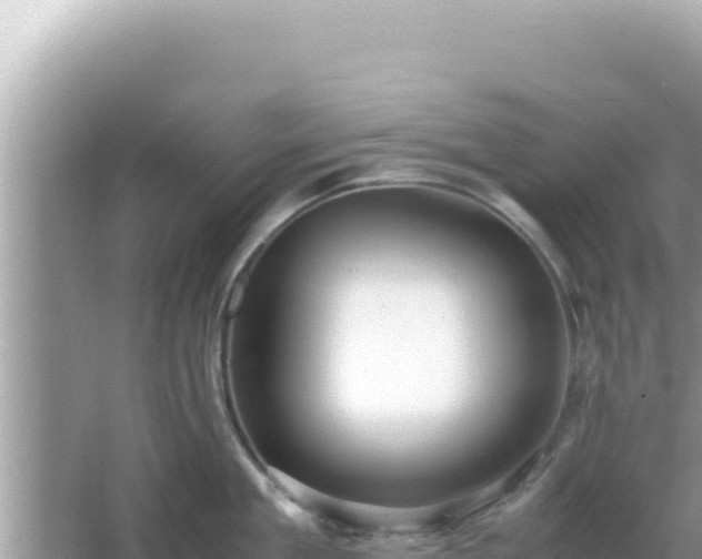 X0000066020909200603101619
