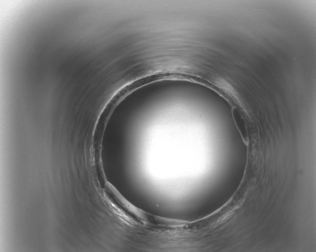 X0000066020924200603101619