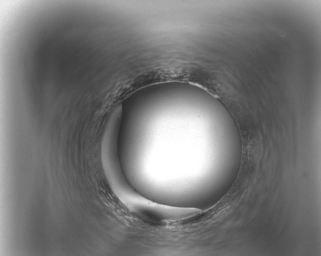 X0000066020961200603101618