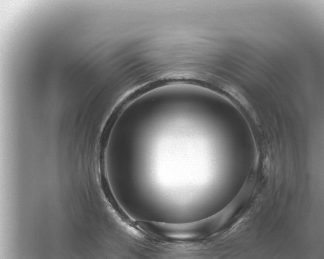 X0000066020984200603101618