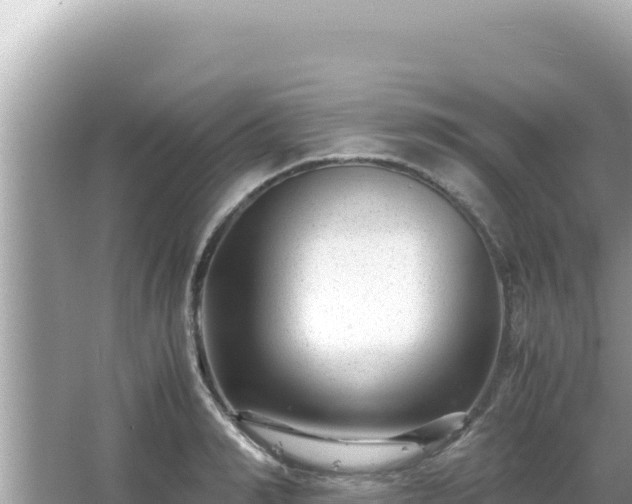 X0000066020990200603101618