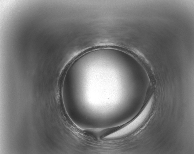 X0000066021167200603101615