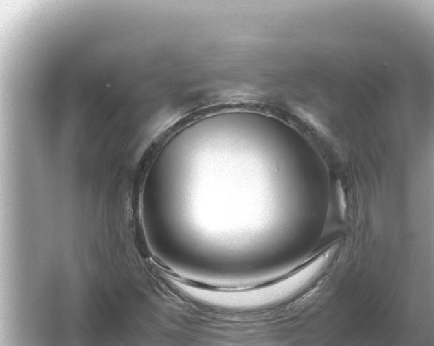 X0000066021261200603101613