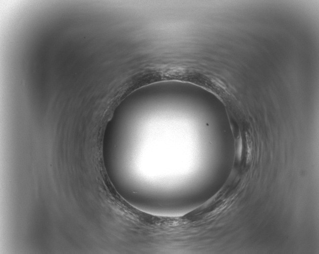 X0000066021345200603101612