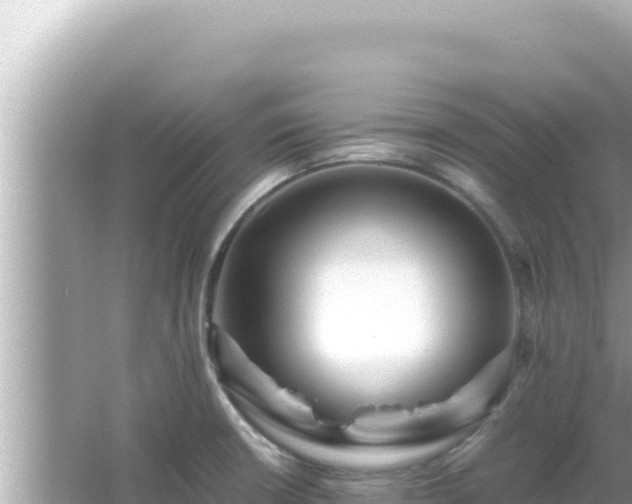 X0000066021426200603101611