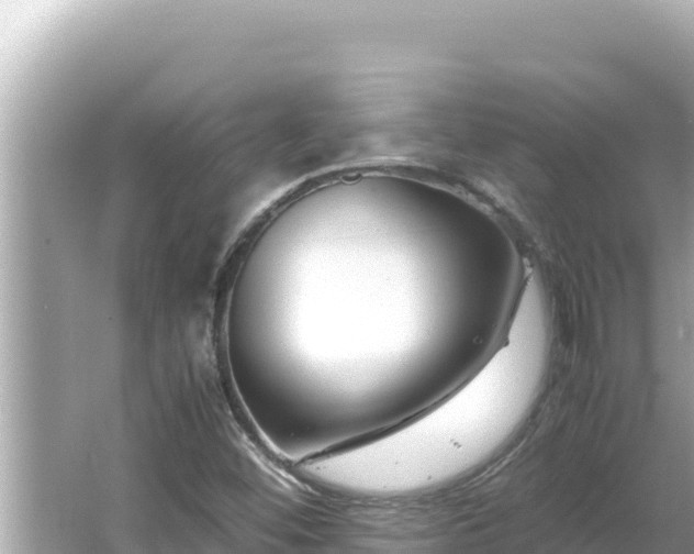 X0000066021452200603101610